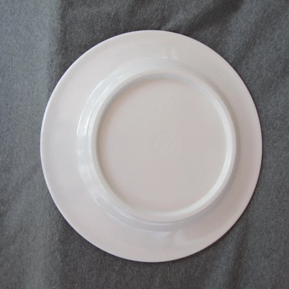 Williams Sonoma melamine dinner plates set of 2 (W3266)